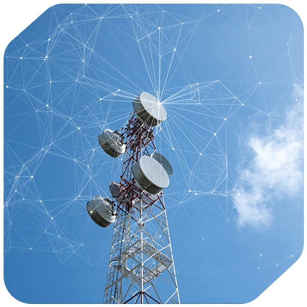 Telecommunications Service Provider